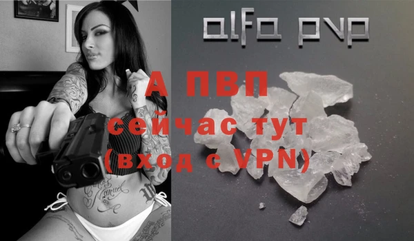 соль ск Алексин