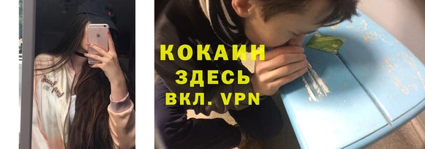 сатива Новодвинск