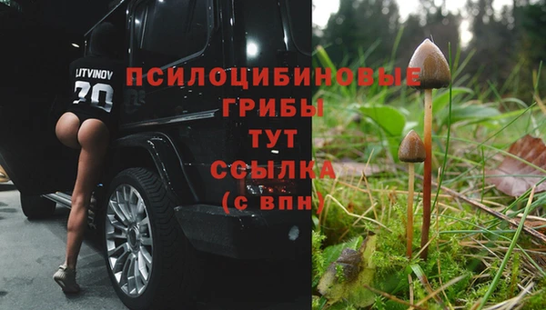 не бодяженный Абинск