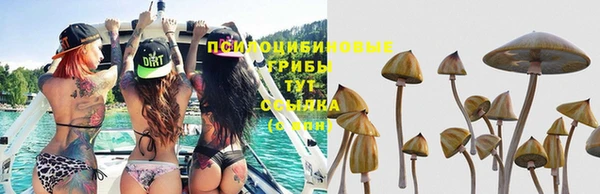 герыч Абаза