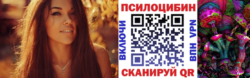 darknet состав  ОМГ ОМГ зеркало  Мамадыш  Псилоцибиновые грибы Psilocybe 